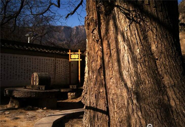 中國古村落:北京門頭溝碣石村(圖16)