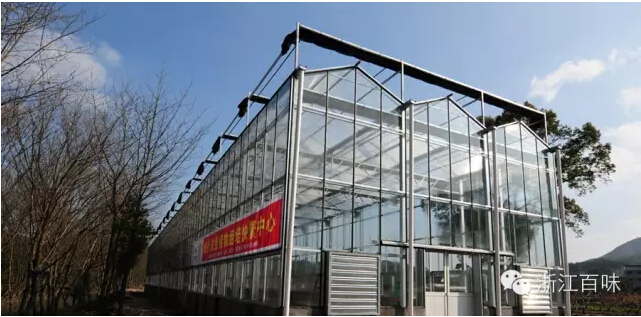 三年職業農民的進展、問題與建議(圖2)