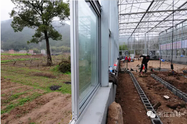 三年職業農民的進展、問題與建議(圖4)