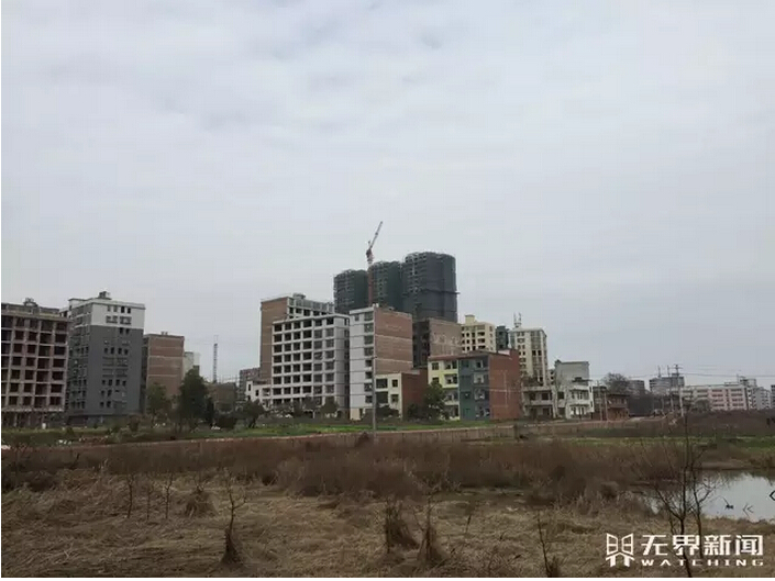 返鄉觀察:推土機進村之后(圖3)