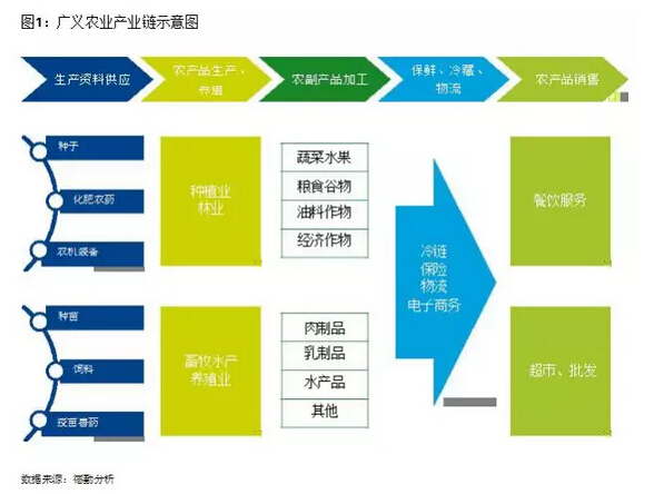 葉偉文:布局中國大農(nóng)業(yè)的投資邏輯(圖1)