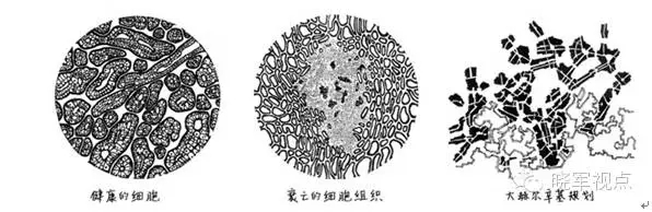 傳統城市規劃已死，新的城市六論當興(圖8)