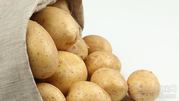 劉詩蕾:中國新主糧為何是馬鈴薯？(圖1)