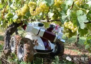 機器人強勢崛起 30年后農業會是什么樣(圖3)