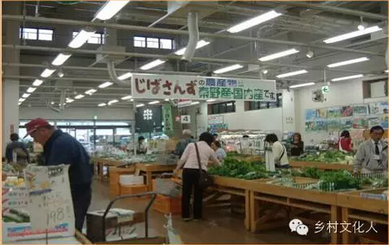 楊團:綜合農協是三農改革的突破口(圖3)