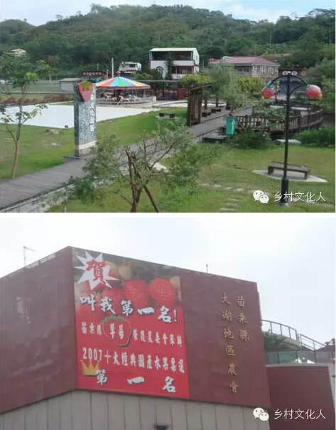 楊團:綜合農協是三農改革的突破口(圖6)
