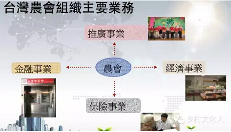 楊團:綜合農協是三農改革的突破口(圖8)