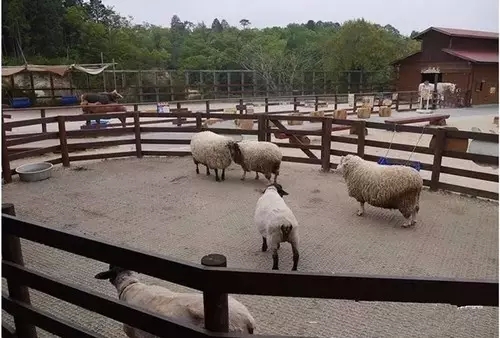 日本農場是如何建立完整的農旅產業鏈(圖4)