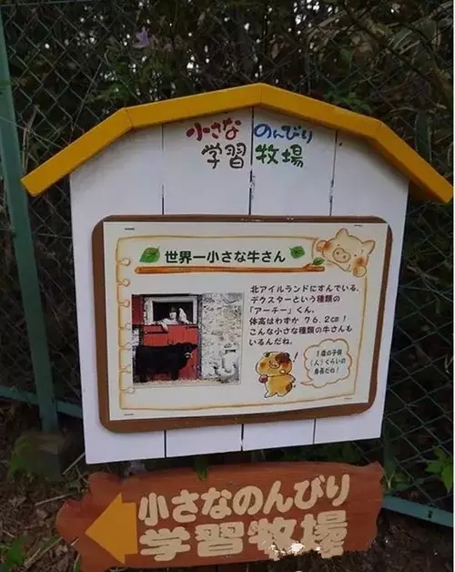 日本農場是如何建立完整的農旅產業鏈(圖9)