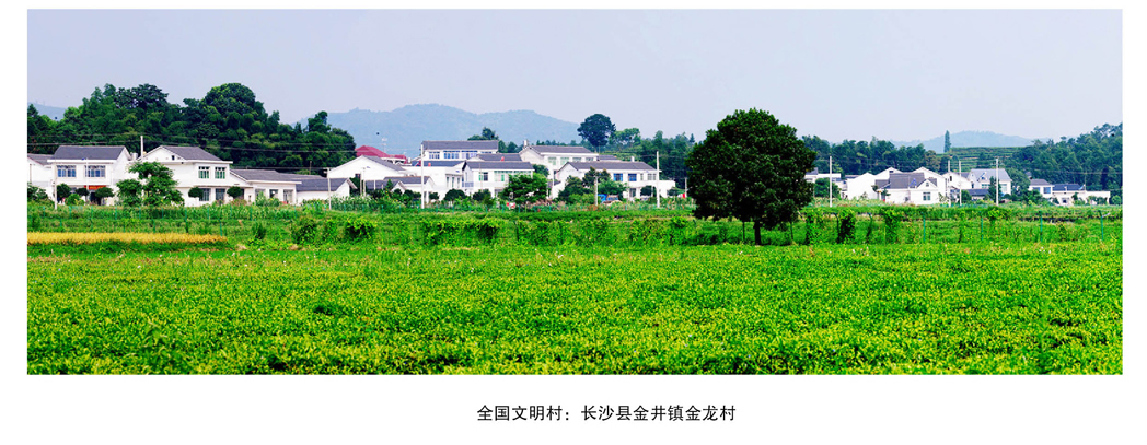李津逵:長沙縣主體功能區實踐(圖3)