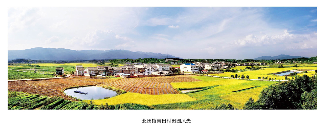 李津逵:長沙縣主體功能區實踐(圖2)