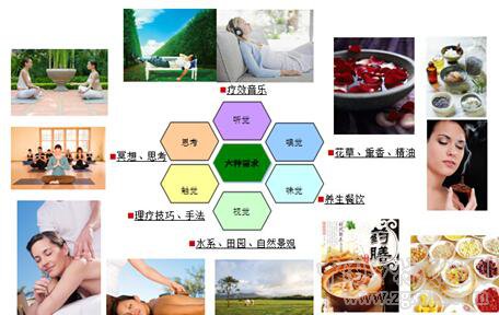 劉國棟:養生農業體系構建與養生農業未來研究方向(圖5)