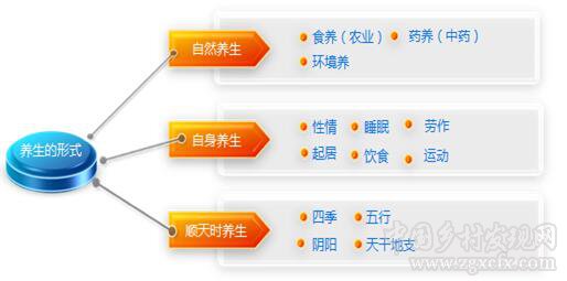 劉國(guó)棟:農(nóng)業(yè)養(yǎng)生是自然養(yǎng)生的一種形式(圖2)