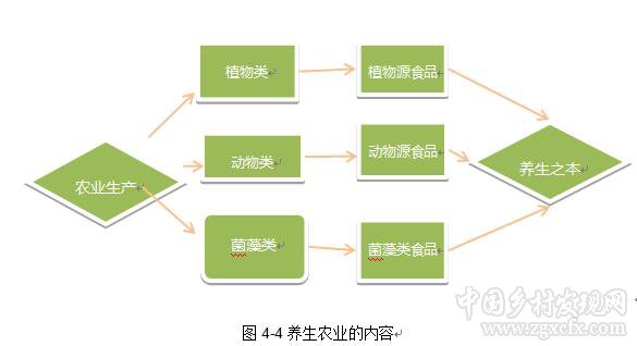 劉國(guó)棟:農(nóng)業(yè)養(yǎng)生是自然養(yǎng)生的一種形式(圖3)