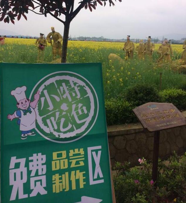油菜花熱的冷思考(圖3) 油菜花熱的冷思考(圖3)