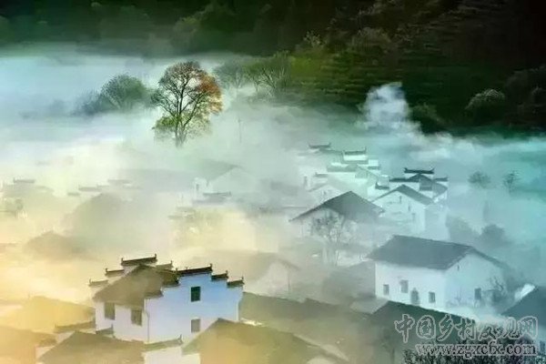30年后將有一大批人涌入農村(圖11)