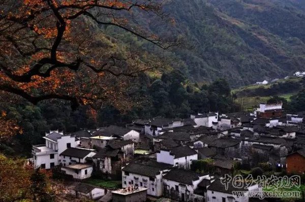 30年后將有一大批人涌入農村(圖12)