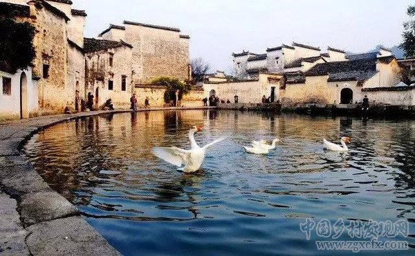 30年后將有一大批人涌入農村(圖6)