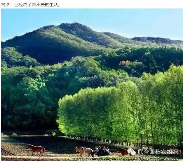30年前的中國村落(圖2)