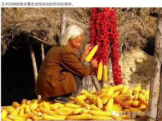30年前的中國村落(圖10)