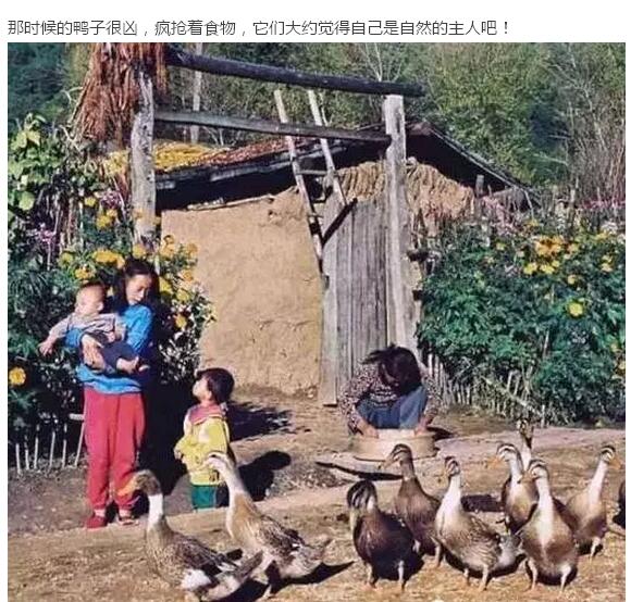 30年前的中國村落(圖25)