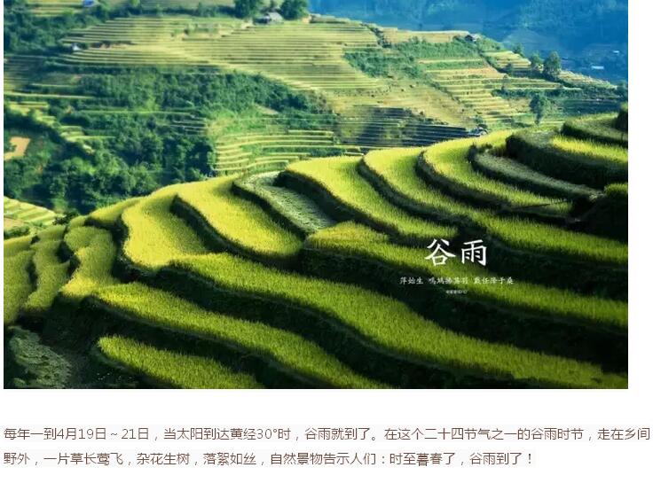谷雨前后的鄉(xiāng)村(圖1)