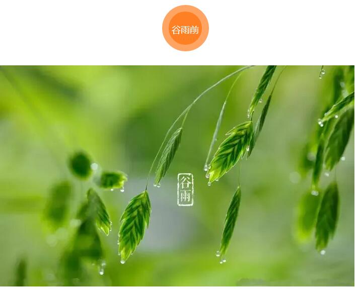 谷雨前后的鄉(xiāng)村(圖3)