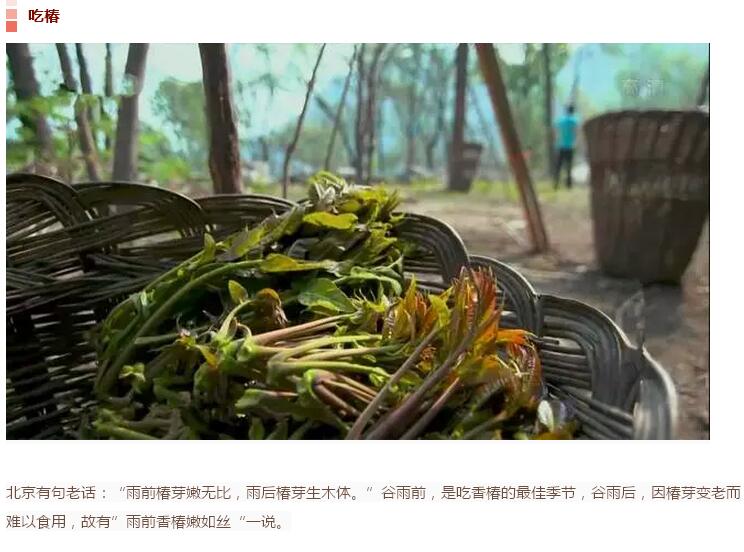 谷雨前后的鄉(xiāng)村(圖7)