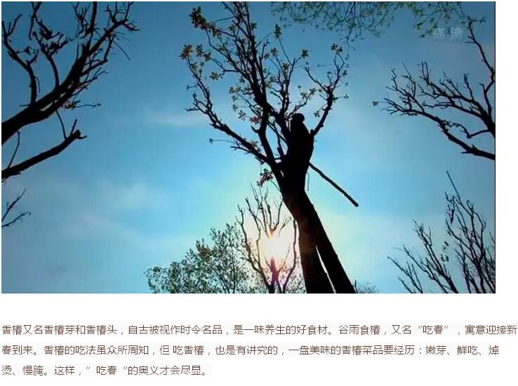 谷雨前后的鄉(xiāng)村(圖8)