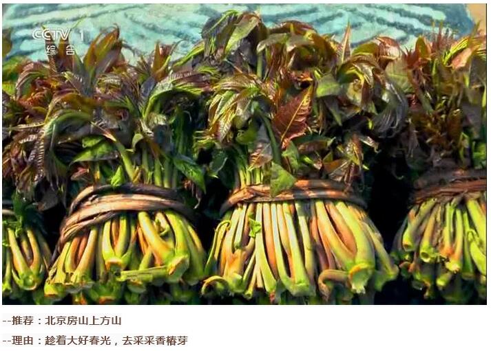 谷雨前后的鄉(xiāng)村(圖9)