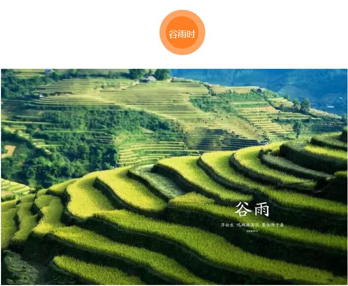 谷雨前后的鄉(xiāng)村(圖10)