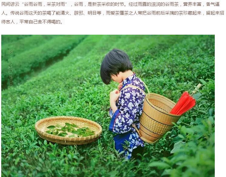 谷雨前后的鄉(xiāng)村(圖12)