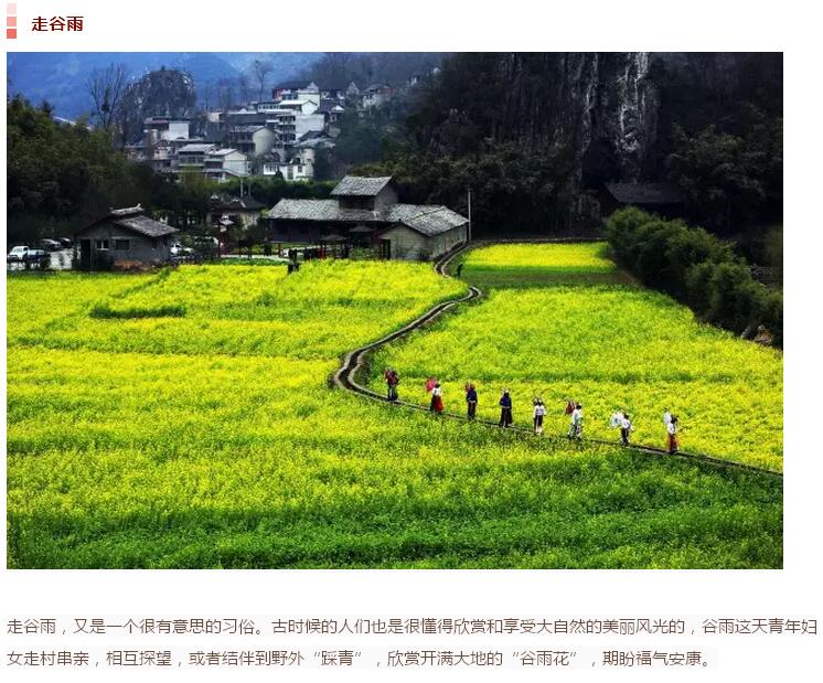 谷雨前后的鄉(xiāng)村(圖14)