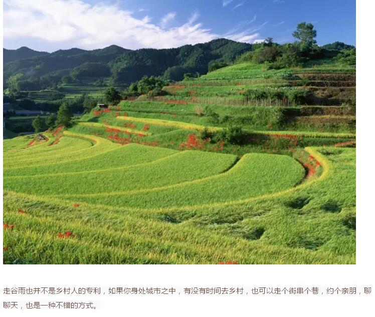 谷雨前后的鄉(xiāng)村(圖15)