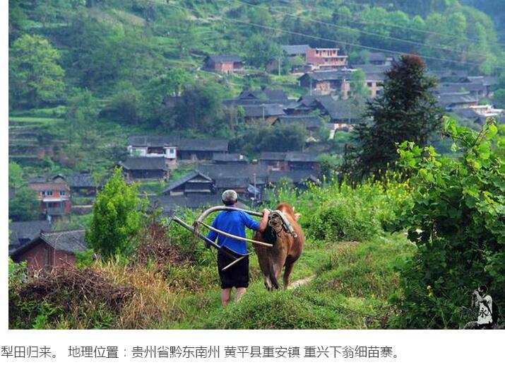 鄉(xiāng)愁在美麗的苗寨靜靜安放(圖14)