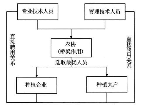 胡振華等:農地抵押風險及預防機制分析(圖6)