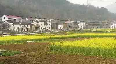 【藝萃】重返鄉土，“建筑界諾獎”獲得者將民居改得這么美！