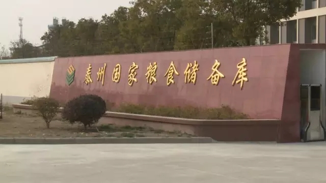 江蘇賣糧難，急需出路(圖4)