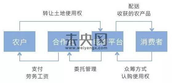 王碩:行業分析互聯網金融+三農的五大模式(圖4)