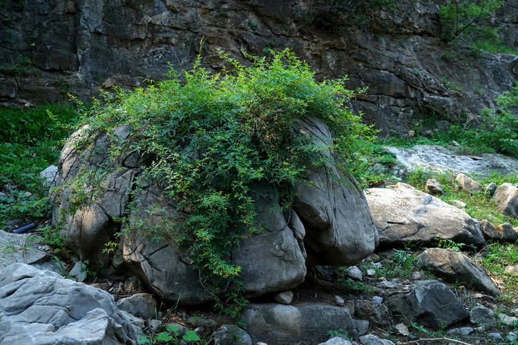 畫里古村落東姚鎮(zhèn)早陽崗村(圖23) 畫里古村落東姚鎮(zhèn)早陽崗村(圖23)