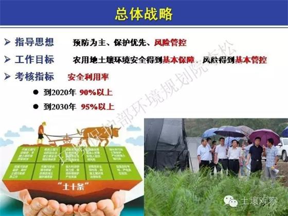 李松:土十條對農田土壤修復進展的影響(圖8)