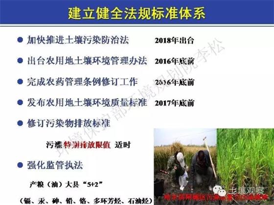 李松:土十條對農田土壤修復進展的影響(圖11)