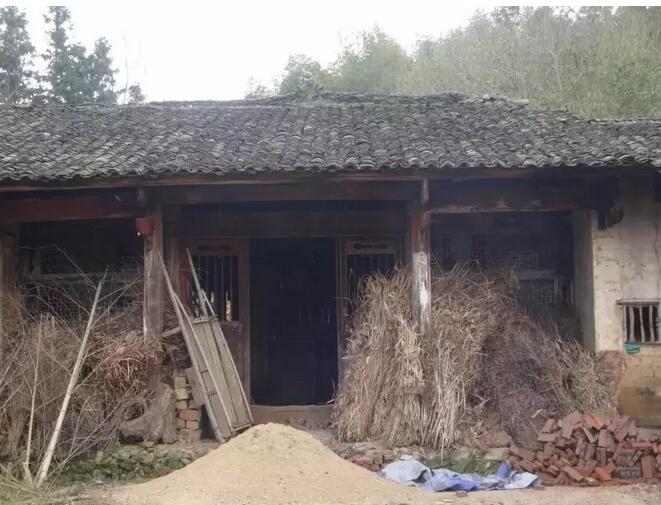 最淳樸的鄉親們:原始春耕(圖5)