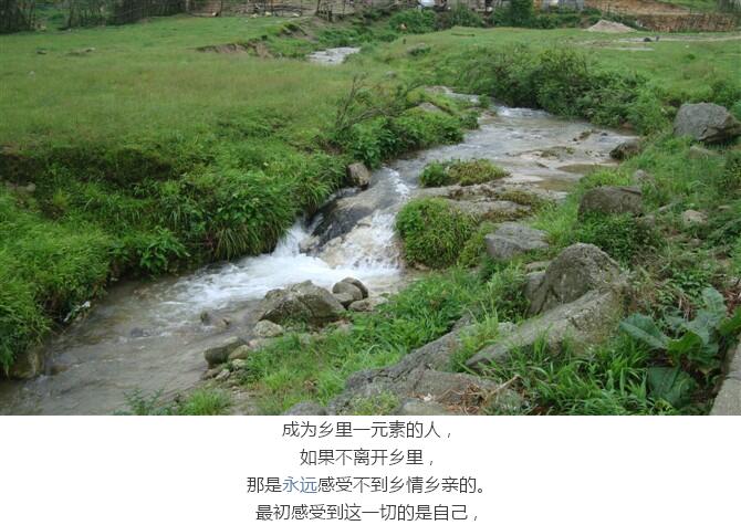 最淳樸的鄉親們:原始春耕(圖8)