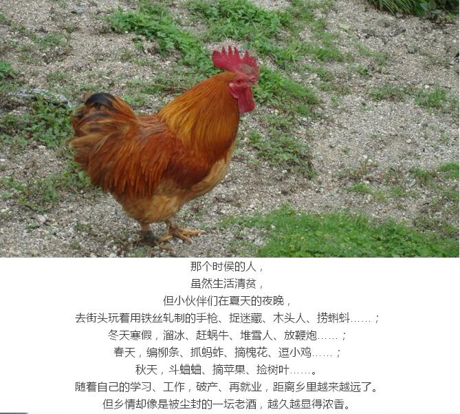最淳樸的鄉親們:原始春耕(圖9)