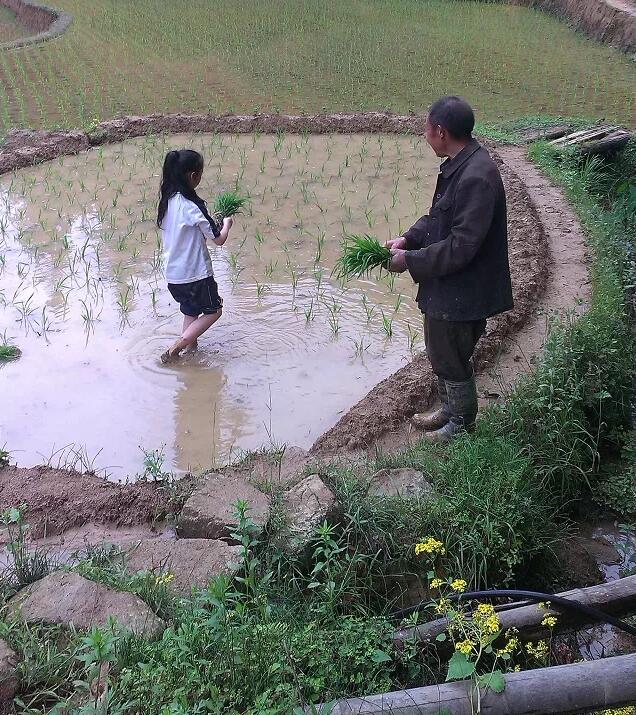 最淳樸的鄉親們:原始春耕(圖30)