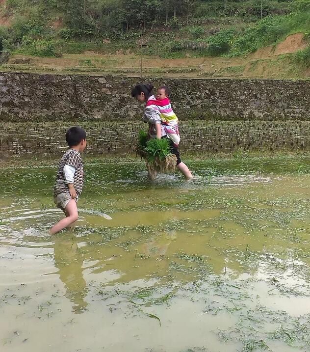 最淳樸的鄉親們:原始春耕(圖33)