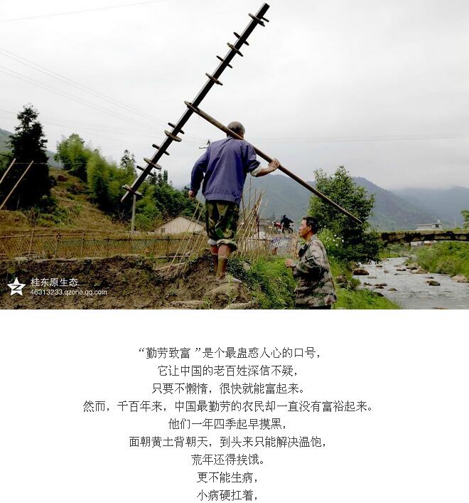 最淳樸的鄉親們:原始春耕(圖34)