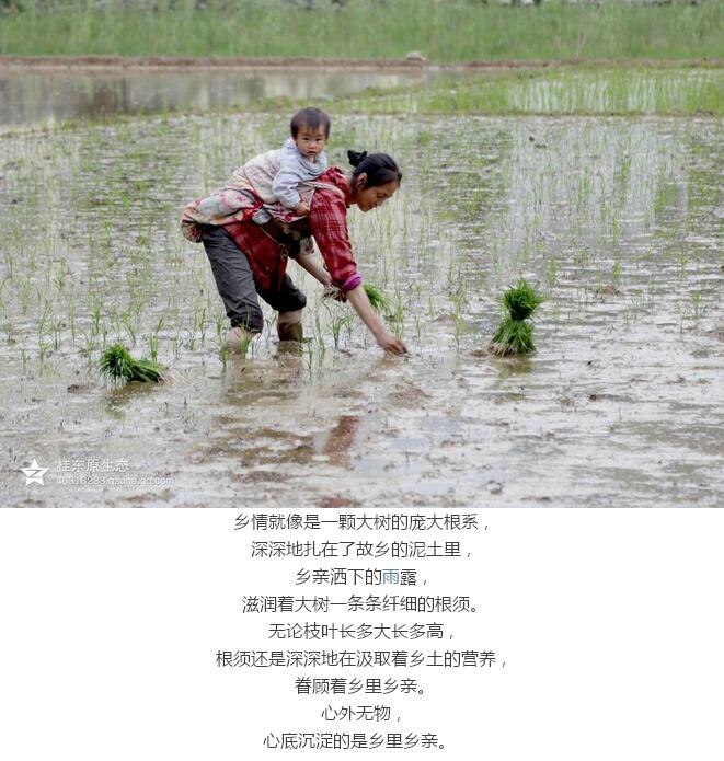 最淳樸的鄉親們:原始春耕(圖44)