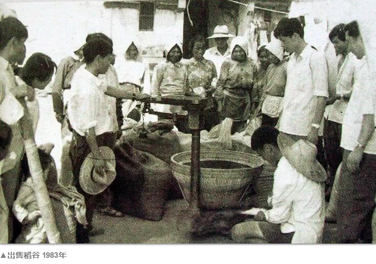 80年代的中國農村你還記得多少(圖13)